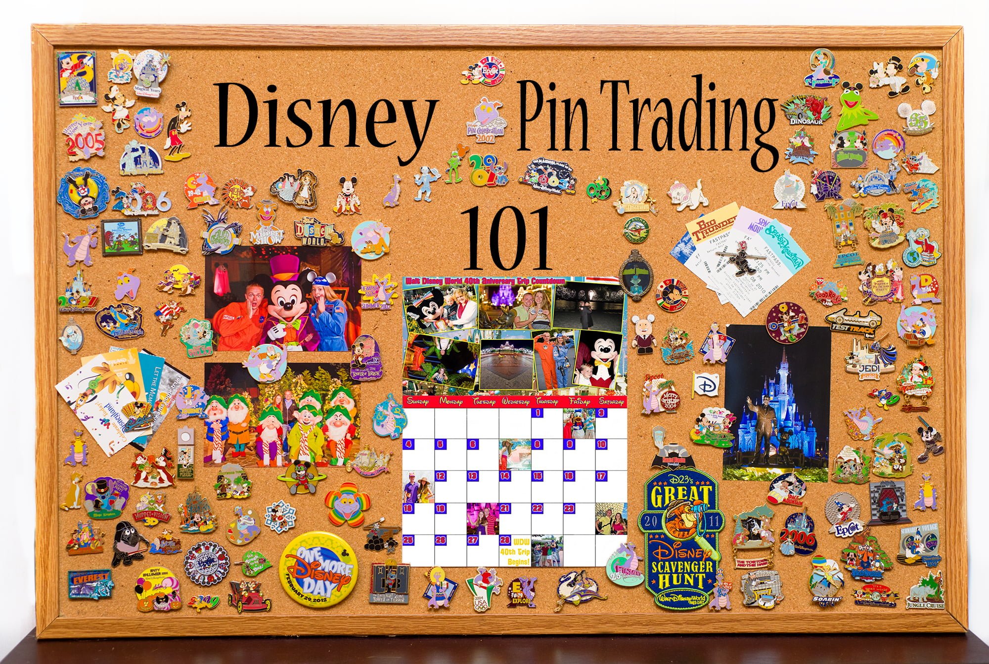 Walt Disney World Resort Millennium Pin Catalog (1999)