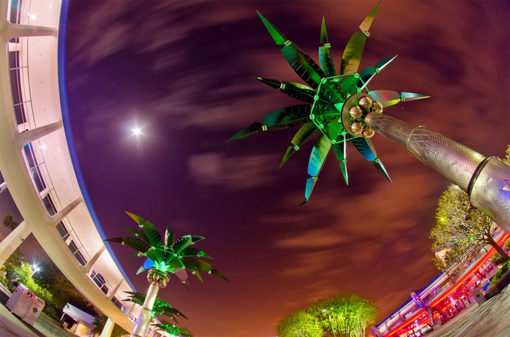 Tomorrowland Palm Trees - Walt Disney World