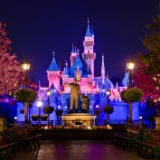 Disneyland Hub at Night