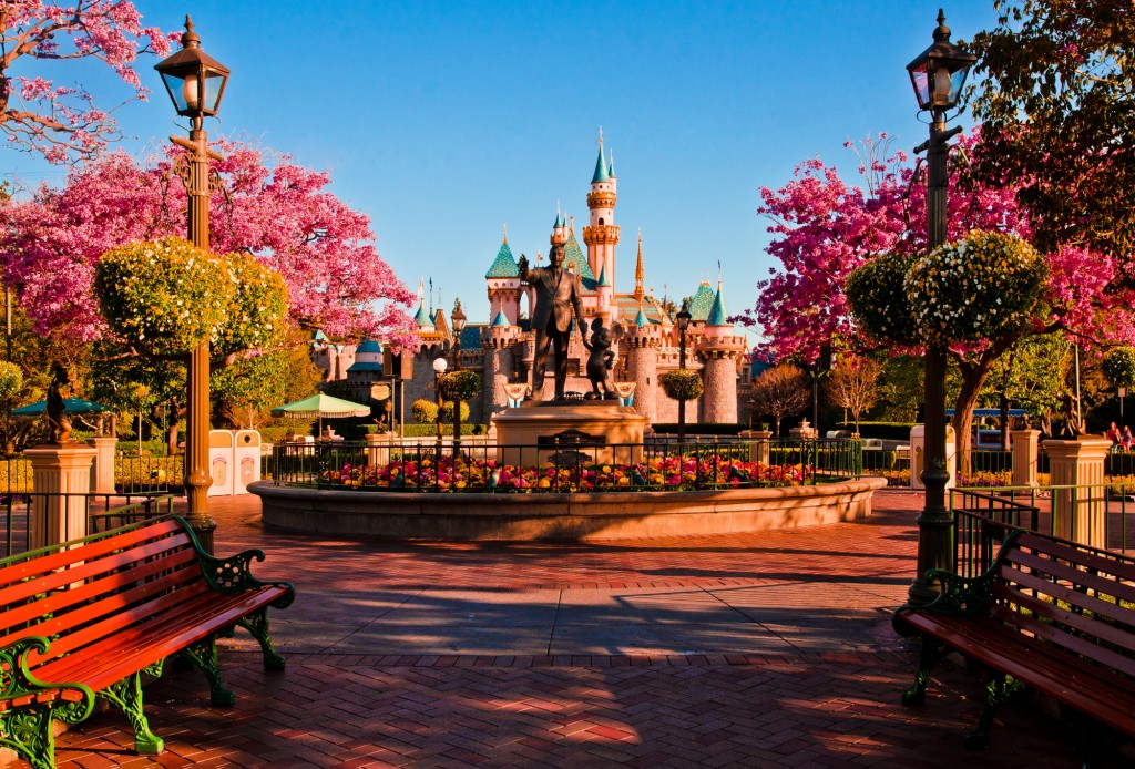 Welcome to Disneyland Photo