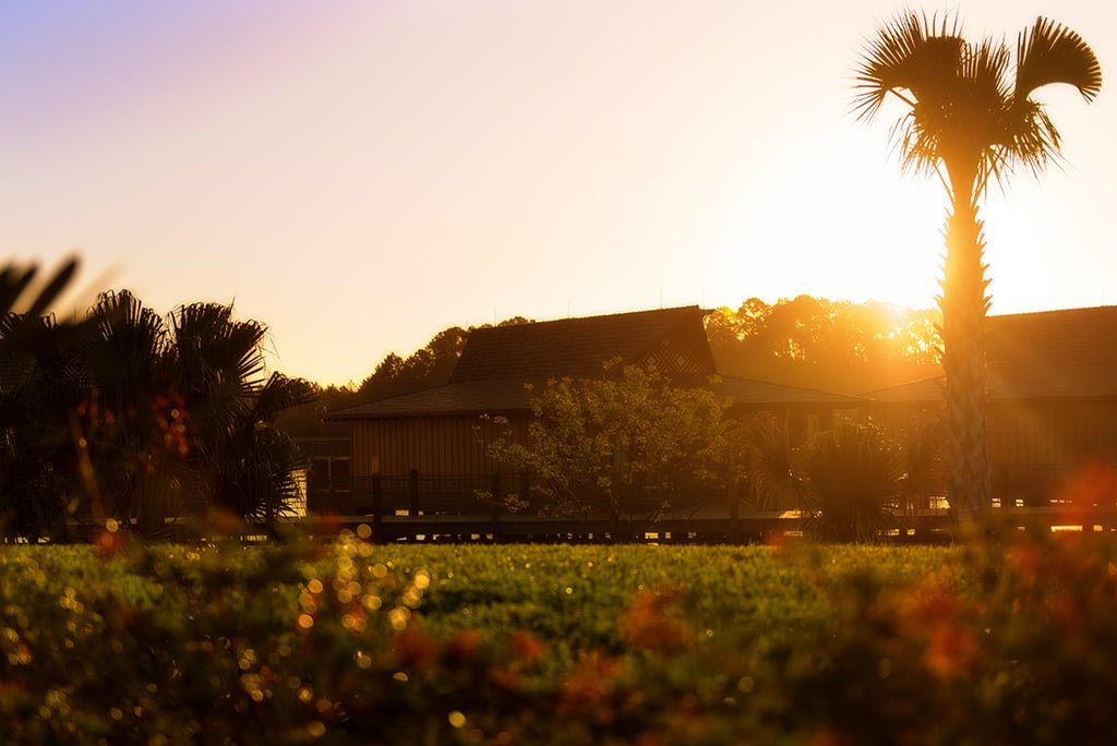polynesian-bungalow-morning-soft-light