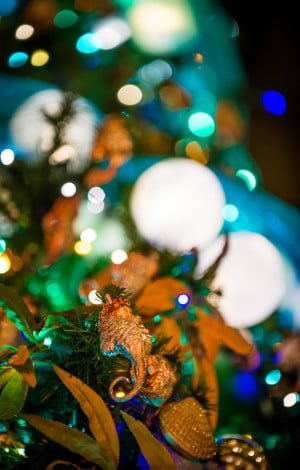 disneyland-hotels-christmas-decorations-032