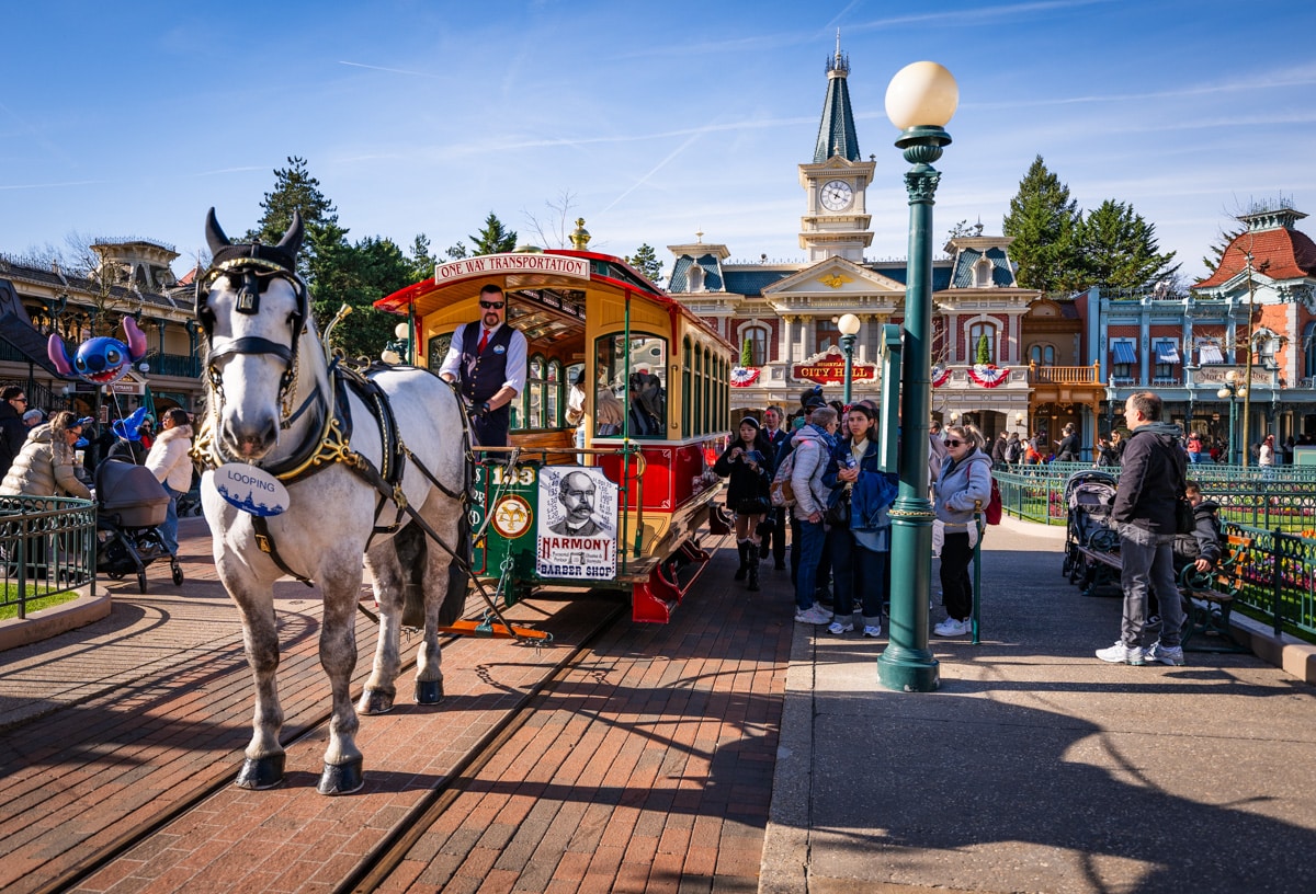 Cast Member Disneyland Paris 1401