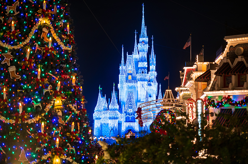 Will Cinderella Fortress's Dream Lights Return for Christmas 2023 ...