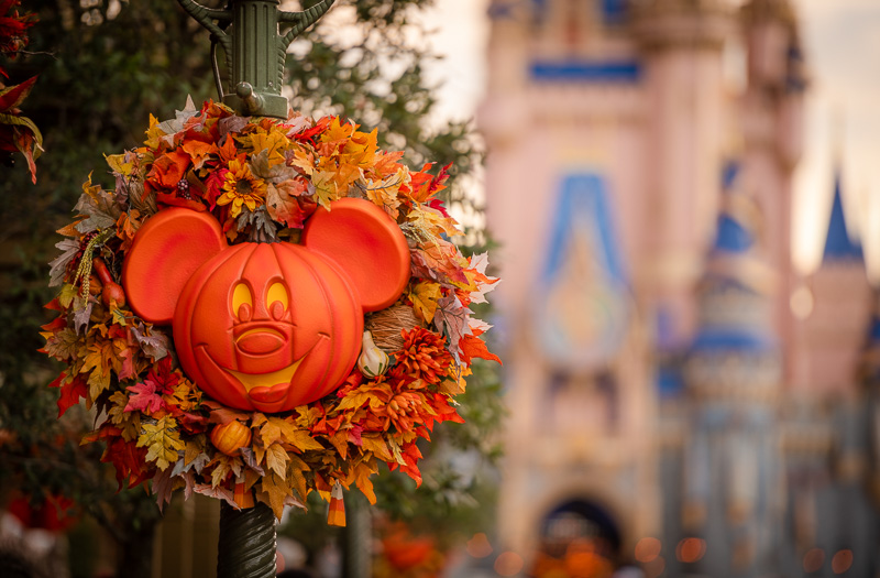 Guide to Halloween 2023 at Disney World - Disney Tourist Blog