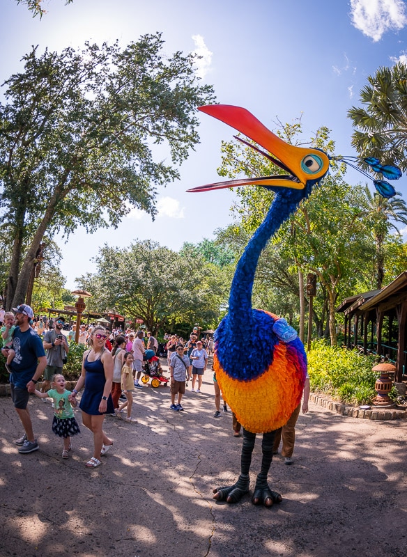 Best Animal Kingdom Attractions & Ride Guide - Disney Tourist Blog
