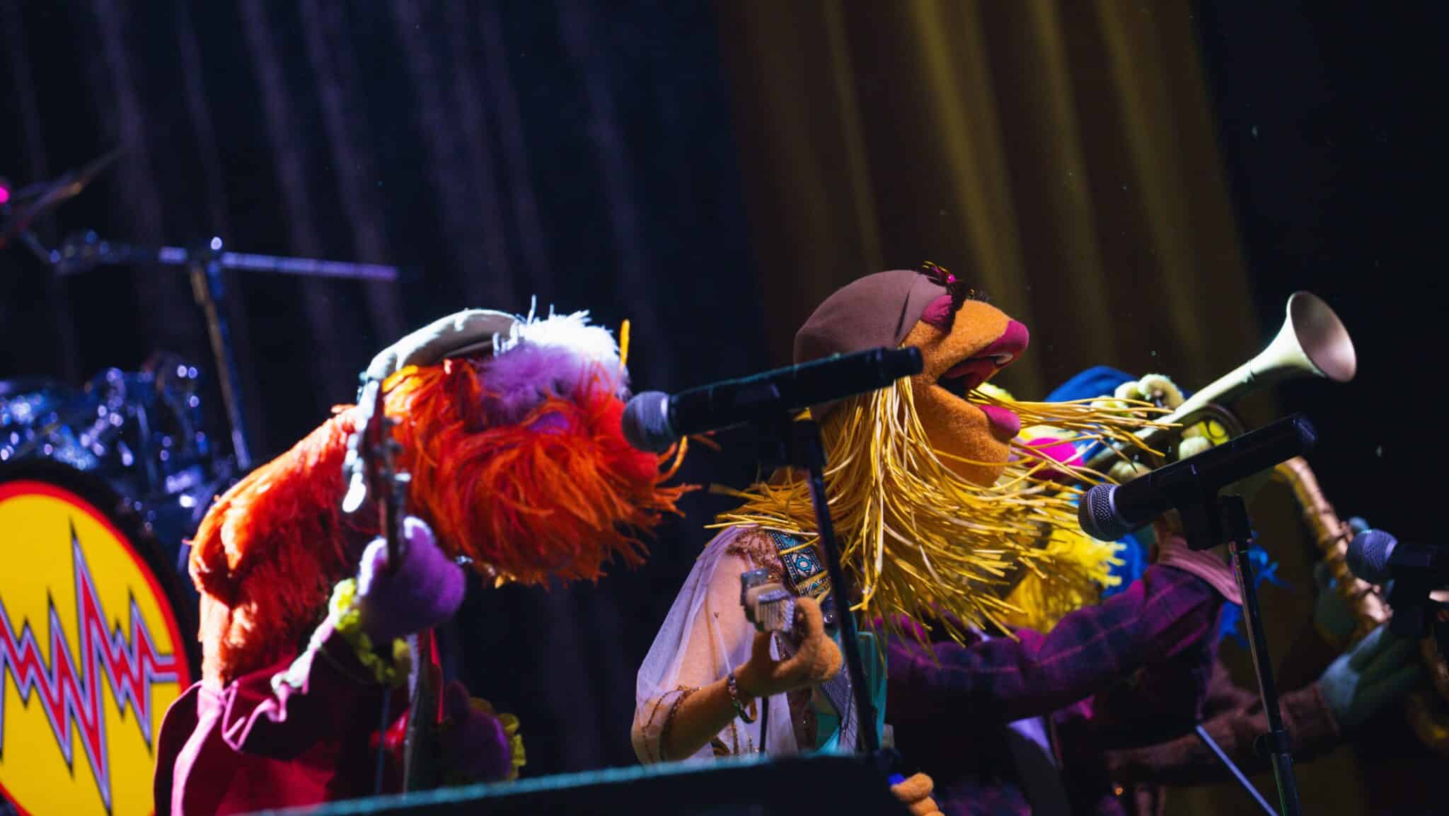 Disney World Reveals Electric Mayhem Post Show & New Songs for Rock 'n' Roller Coaster Starring Muppets Electric Mayhem Post Show Rock Roller Coaster Muppets Dhs Wdw 4 Scaled