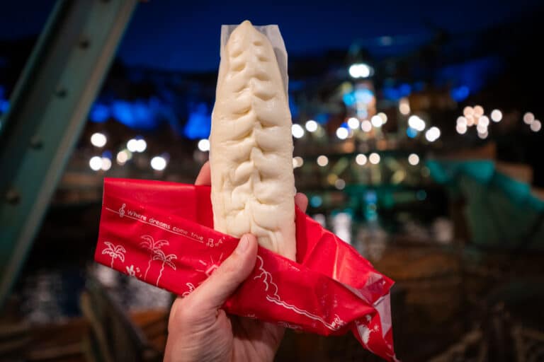 Tokyo Disneyland Discount Ticket Tips + Fall 2026 Flash Sale!
